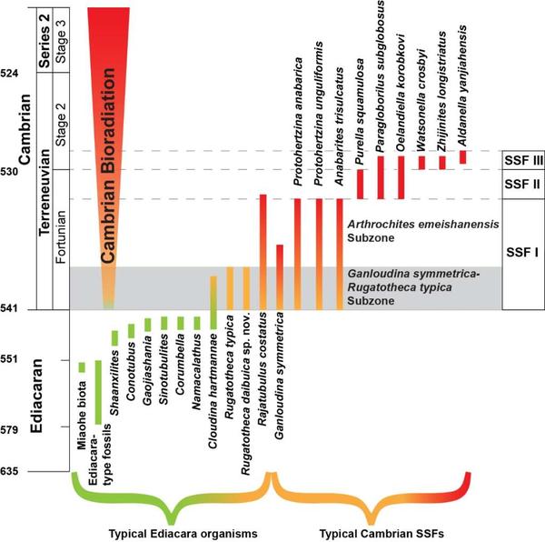 E:\work\xiaotan\稿件\新闻稿\Fig9 Ediacaran-Cambrian.jpg E:\work\xiaotan\稿件\新闻稿\Fig9 Ediacaran-Cambrian.jpg